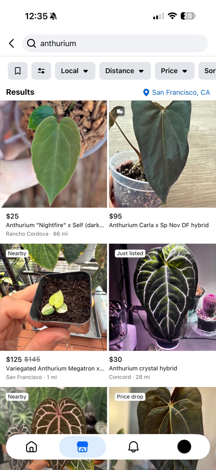Marketplace results for anthurium from San Francisco, with listings labelled Rancho Cordova 86 miles, Concord 28 miles and San Francisco 1 mile